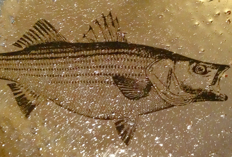 Detail of hand silvered mirror on seeded glass with reverse hand printed screen print